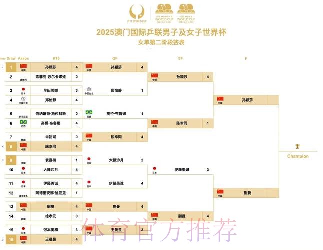 全面分析世界杯比赛结果统计数据