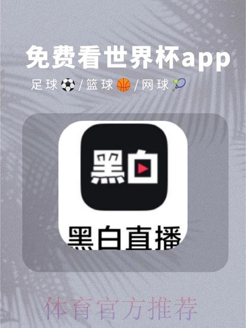 安卓平台最佳世界杯预测APP推荐